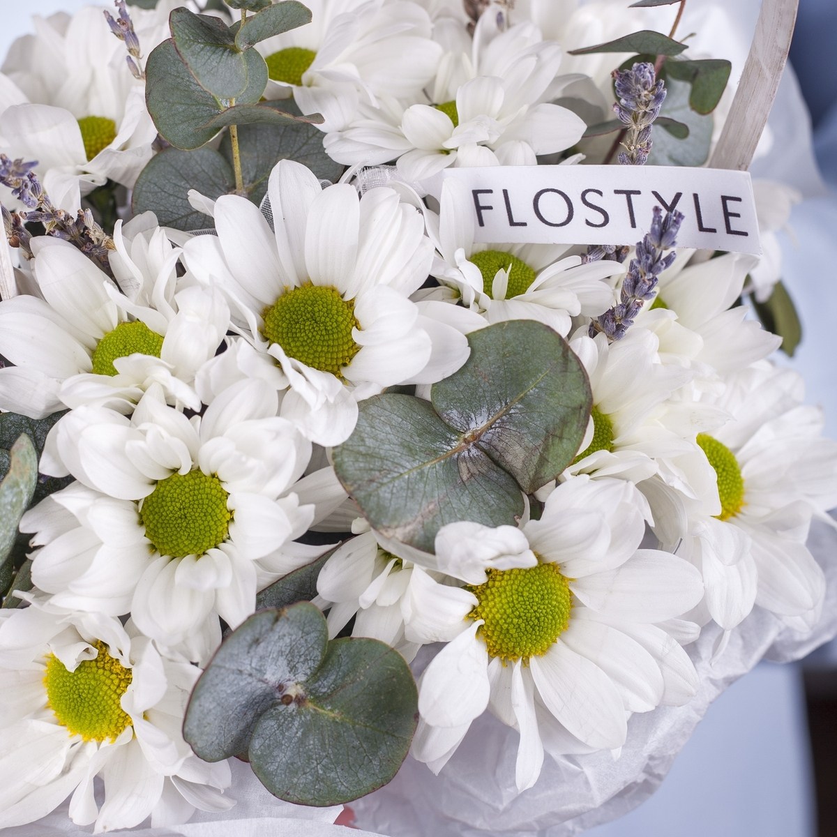 korzinka s hrizantemoj romashkoj 8